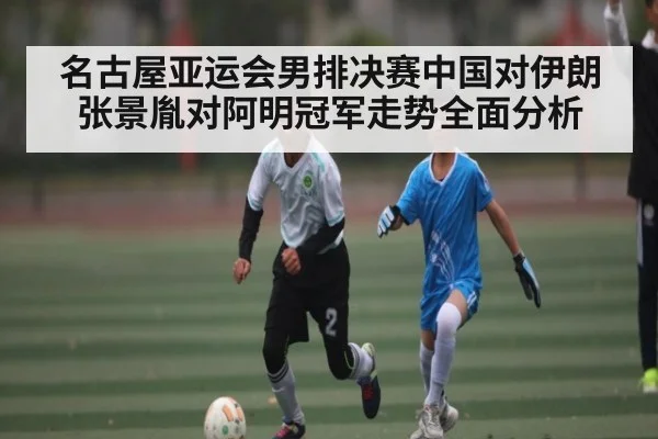 名古屋亚运会男排决赛中国对伊朗张景胤对阿明冠军走势全面分析